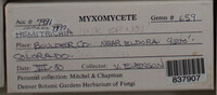 Image Associated With the Occurence